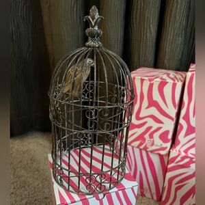 Pink Zebra rare metal birdcage accent shade